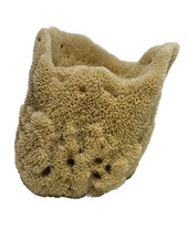 Natural Sea Sponge Ocean Life Decor 5" x 5" x 5"