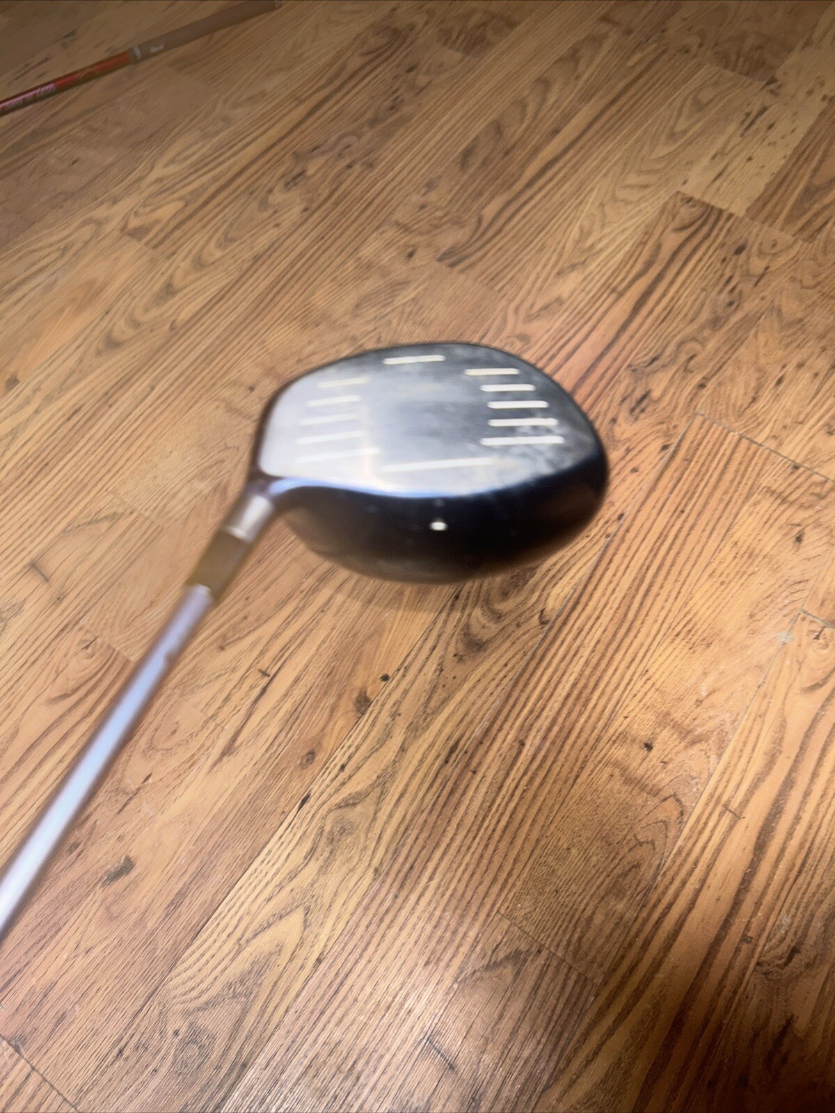 Picture 2 of 5