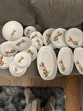 Melamine Plastic Picnic 16 Piece Strawberry Set - Job Lot Plates, Bowls  Etc