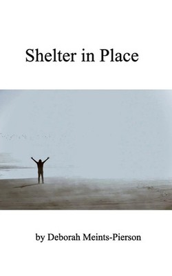 Deborah Meints-Pierson | Shelter in Place | Taschenbuch | Englisch (2022)
