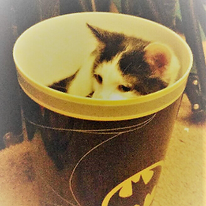 Poly's Comics | eBay Stores