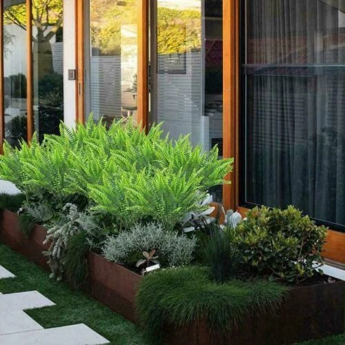 Dried & Artificial Fern Leaves & Foliages