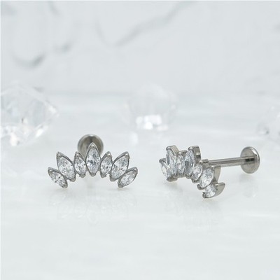 1 Pair Of Women's Earrings, 16 Gauge Implant Grade Titanium Internally Threaded
