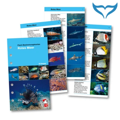 IQ COMPANY iQ Logbuch M Fish Card Fisch Bestimmungskarten Red Sea Rotes Meer DE Logbook Ne