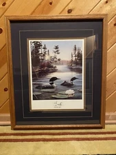 Morning lights LOONS Leo Stans Framed Print Wildlife