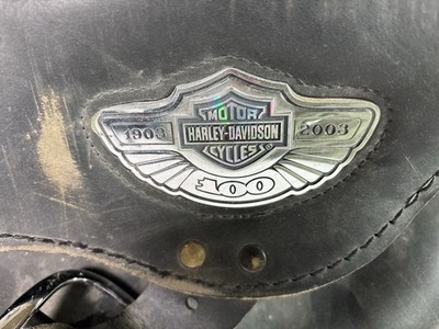 Harley Davidson 100th Anniversary DYNA Saddlebags. Road Rash, Very Cool! Display