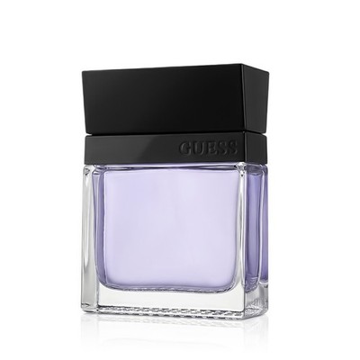Guess Seductive Homme Eau De Toilette EDT 100 ml (man)