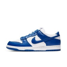 Nike Dunk Low Retro SP Kentucky 2020 for Sale - Authenticity