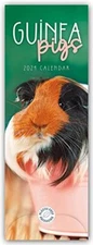 Guniea Pigs - Meerschweinchen 2024 - Slimline-Kalender: Original Car... Calendar