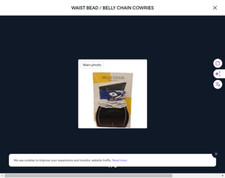 WAIST BEAD / BELLY CHAIN COWRIES