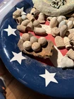Dug Civil War 💥 🇺🇸 💣 Cannonball Frag W Case Shot