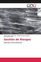 Gilberto BermúDez RuíZ (U. A.) | GestióN De Riesgos | Taschenbuch | Spanisch
