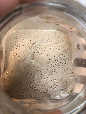 MOM'S HEIRLOOM SAN FRAN SOURDOUGH STARTER Organic Stone Ground Dark Rye Sourdough Starter 223yrs family maintained