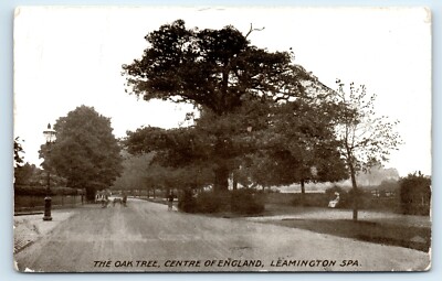 POSTKARTE LEAMINGTON SPA - DER EICHENBAUM - 1916 RPPC