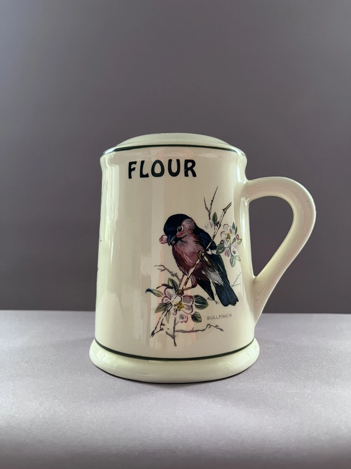 Vintage Brixham Pottery Flour Shaker, Hand Decorated Bird Design
