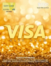 Visa $100 Gift Card (Free Shipping)