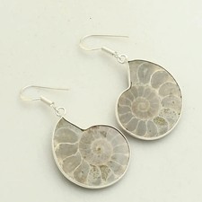 Ammonite Fossil Gemstone Handmade Drop Dangle Earrings Jewelry 1.8