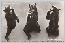 Vintage Roeblibättler Bears Postcard Bärengraben Bern Switzerland 1952