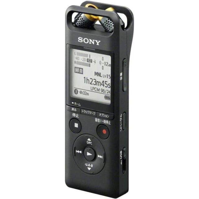 Sony PCM-A10 High Resolution Digital Audio Recorder for sale 