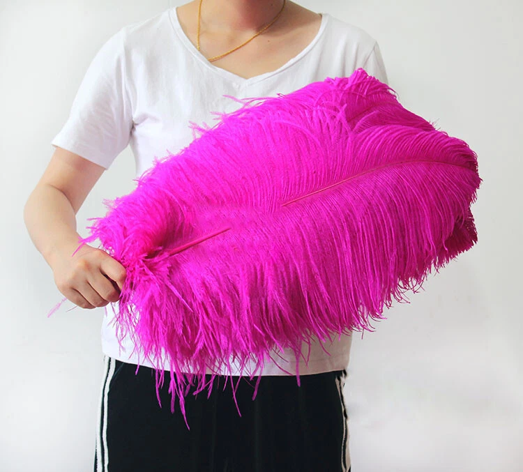 Ostrich Feathers - 16-18 Tail Feathers - Purple