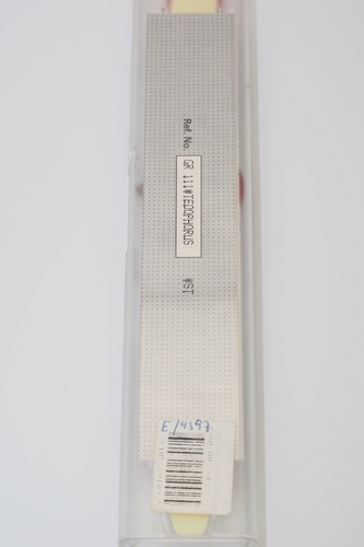 Swatch Tedophorus (GR111) aus 1992 - Bild 4 von 4