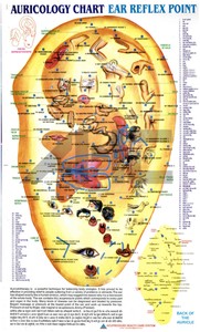 Sujok Therapy Chart