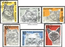 Bulgarie 3808-3813 (édition complète) oblitéré 1989 Chats