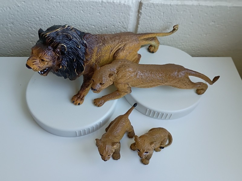 Vintage AAA CE Lion Family - Dad, Mom, and 2 Cubs - Very well Made!