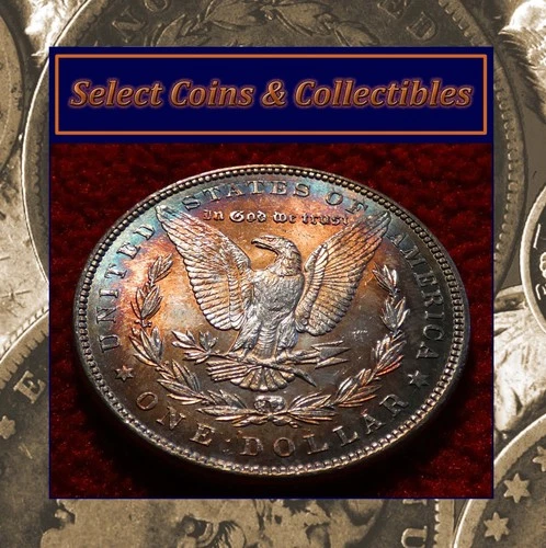 1887 BU+ Morgan Silver Dollar Stunning Multi-Color Target Toned Die Clashed!