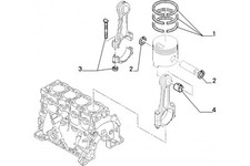 9569117480 - Serie Anelli Stantuffo FIAT Ulisse 1994/2002 Scudo 1995/2004