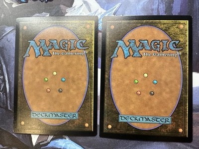 MTG | Dandan 2 Card Set ✨FOIL✨ Secret Lair 2138 & 2139 NM