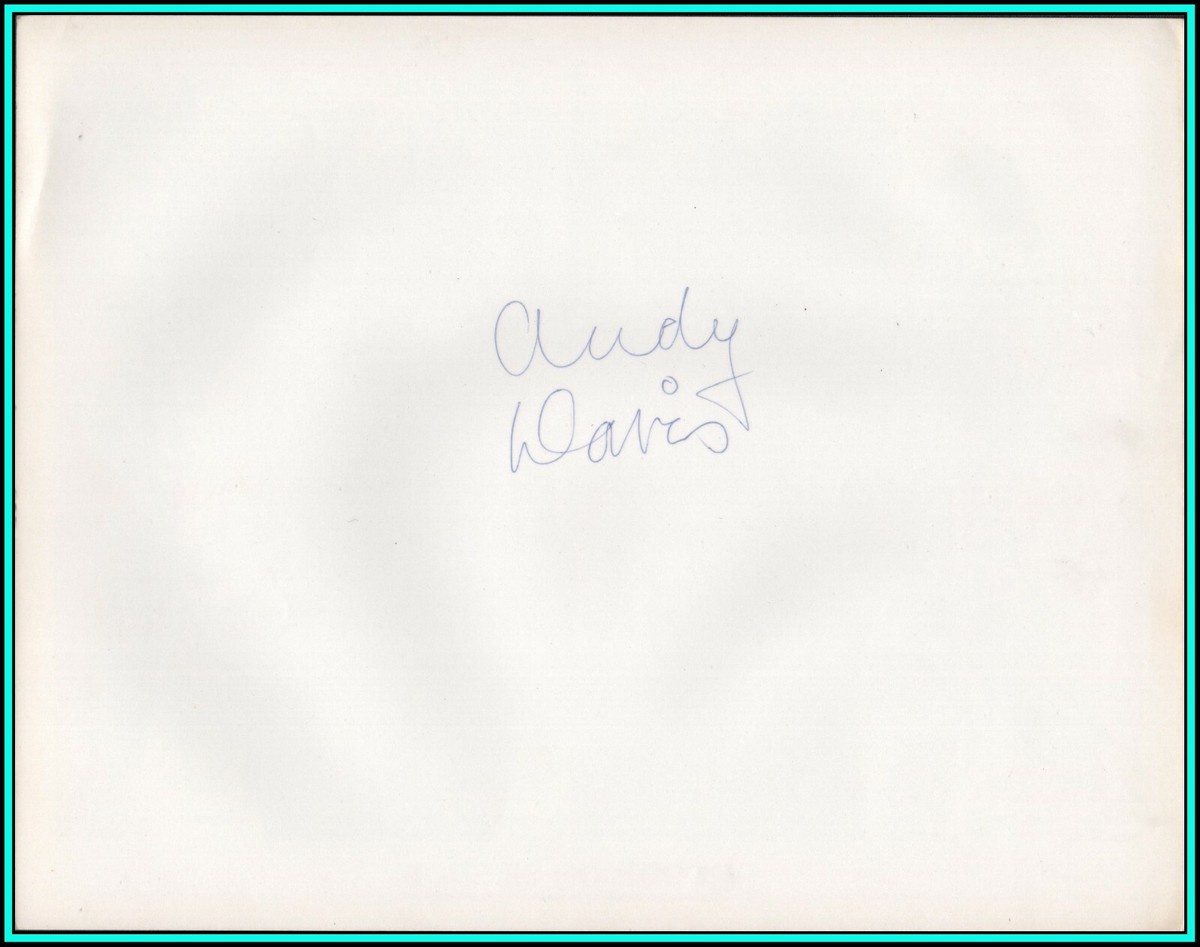 WAY OF THE BIRD Andy Davis メッセージサイン入り the way of the bird – surfing tribe