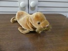 Ty Beanie Baby Paul the Walrus Seal Sea Lion Brown Stuffed Animal