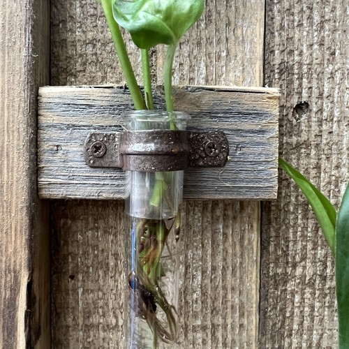 Plant Propagation Station Rustic Reclaimed Wood Farmhouse Gift 12X13.25 Wall Art - Picture 3 of 9