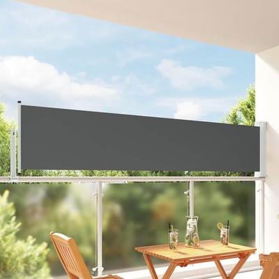 Seitenmarkise 100 x 300 cm 100% Polyester Eisenstahl rechteckig