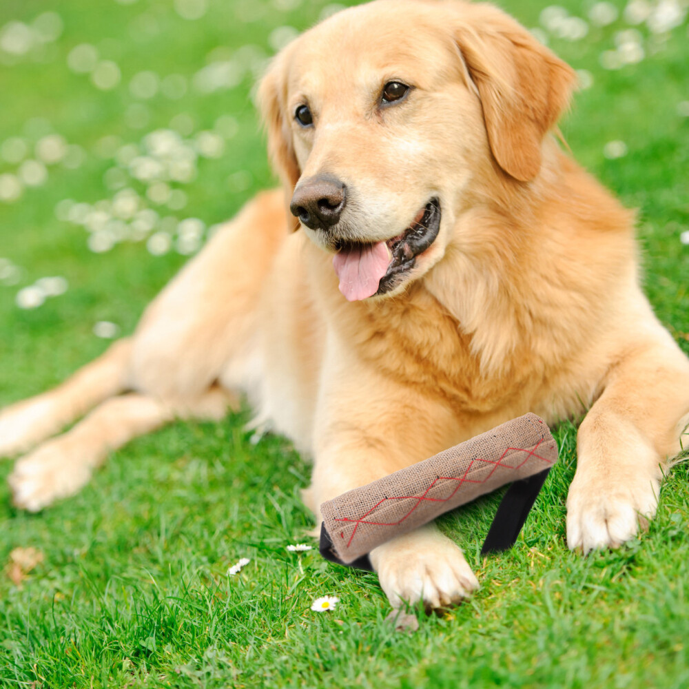 Dog Bite Tug Toy with 2 Handles Extra Tough Durable Dog Tug for