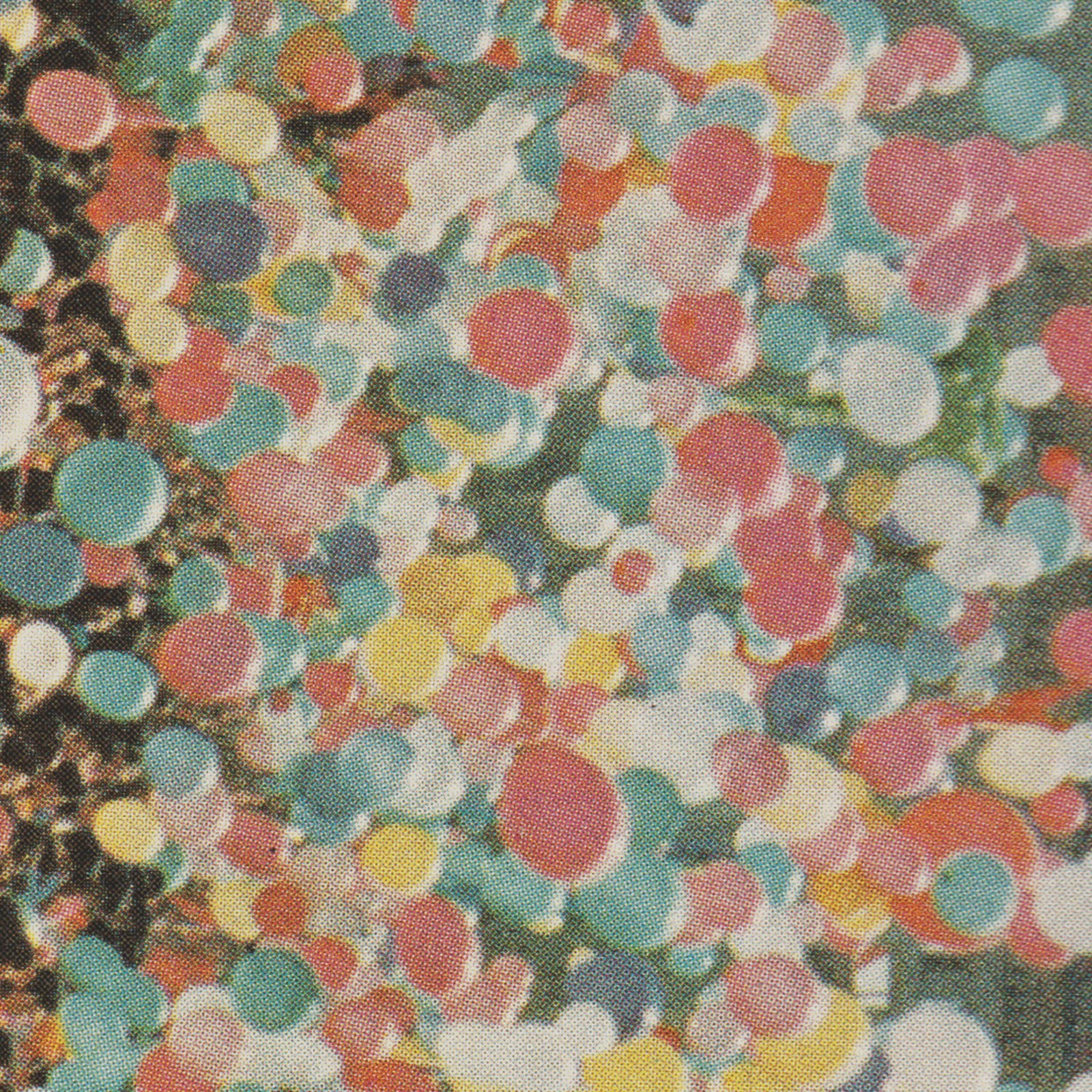 Van Houten The Tallest Room (Vinyl LP) 12" Album Coloured Vinyl