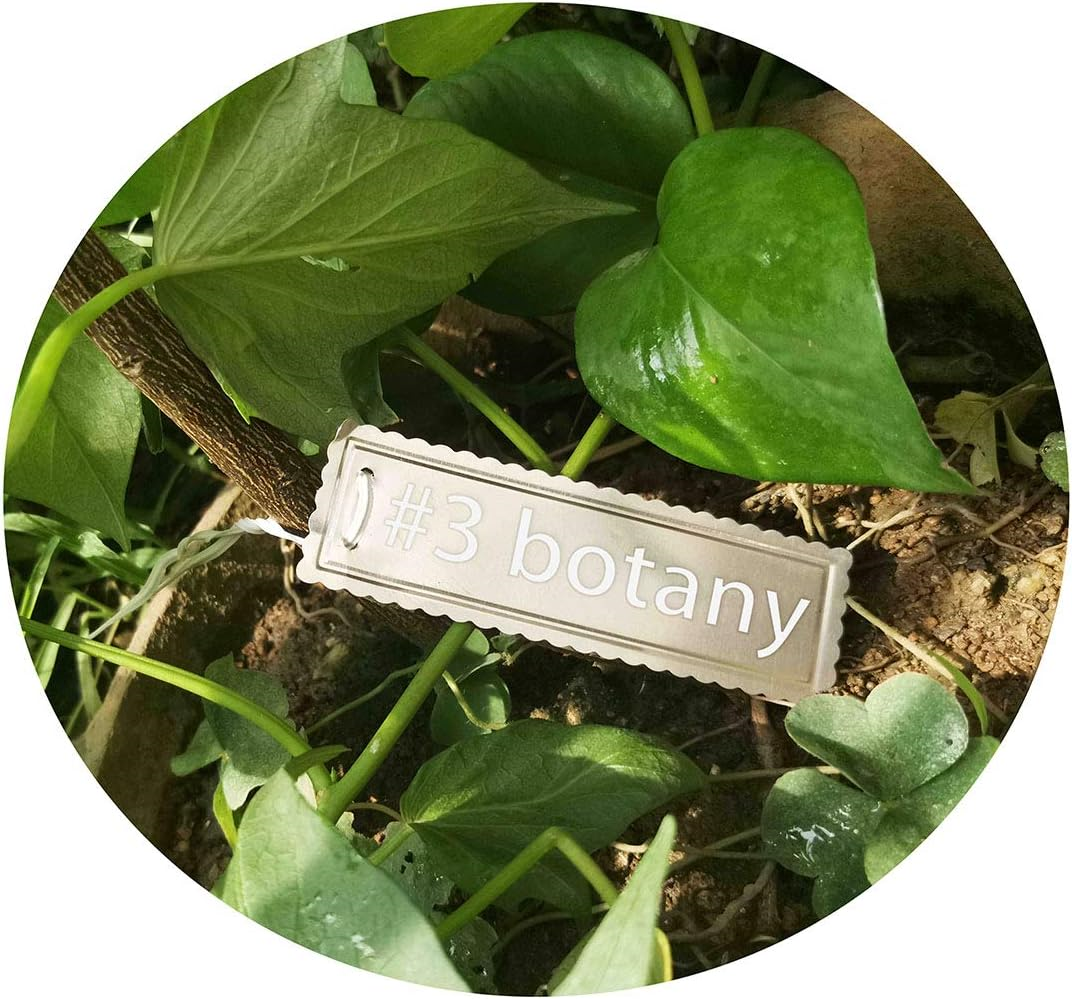 PinCute Aluminum Plant Labels, Metal Plant Tags, Tree ID Tags Durable & Pot Tag eBay