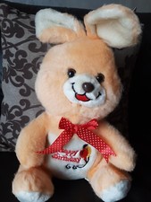 Peluche Coniglio Happy Birthday