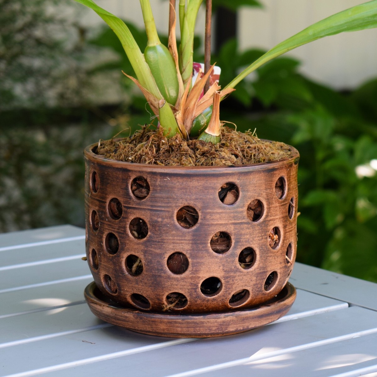 Orchid pot with holes. Handmade ceramic orchid planter. Ceramic Succulent  pot | eBay