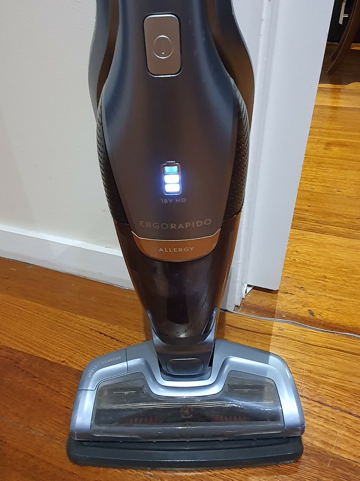 Electrolux ZB3311 Ergorapido Allergy 