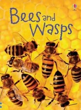 Bees and Wasps (Beginners Nature) - Hardcover By MacLaine, James - GOOD