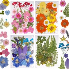 100 Pcs Dried Pressed Flowers for Resin Dry Leaves Suitable for Scrapbooking ...