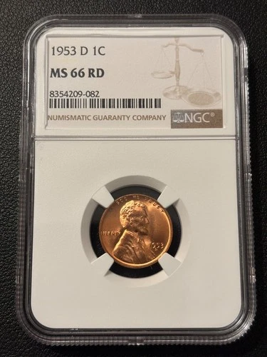 1953 D Lincoln Wheat Cent - Graded NCG MS66 RD Gem BU