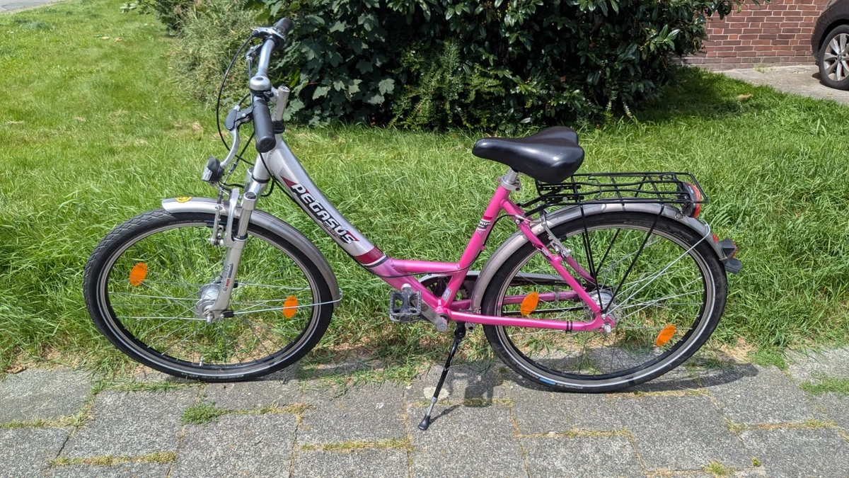 Pegasus 18 Zoll Kinderfahrrder online kaufen | eBay.de
