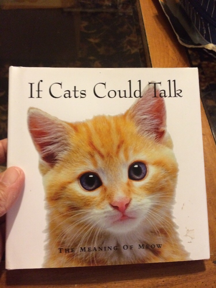 If Cats Could Talk: The Meaning of Meow 9781412740517