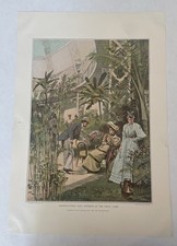 Columbian Exposition 1893 Original Print Horticultural Hall World Fair 17x12in