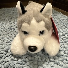 FAO Schwarz Adopt-A-Pet Husky Dog 15 Blue Eyes - New With Tags Adoption Papers