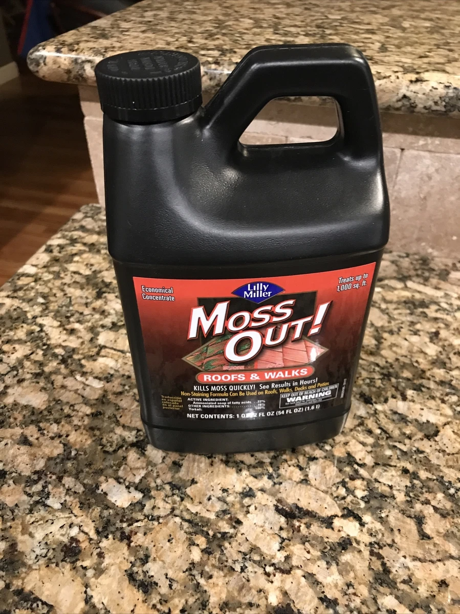 Lilly Miller Moss Out