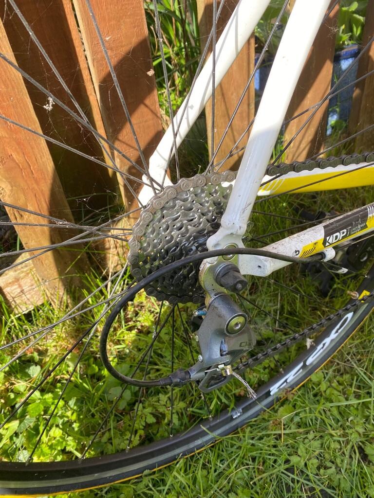 boardman dynamic ride concept e4p